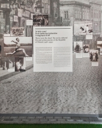 http://www.glorialuca.net/files/gimgs/th-102_WRO5.jpg