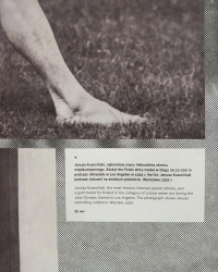 http://www.glorialuca.net/files/gimgs/th-102_WRO6.jpg