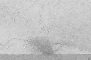 http://www.glorialuca.net/files/gimgs/th-41_DSC_0085.jpg