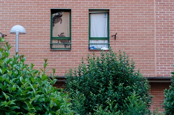 http://www.glorialuca.net/files/gimgs/th-51_6.jpg